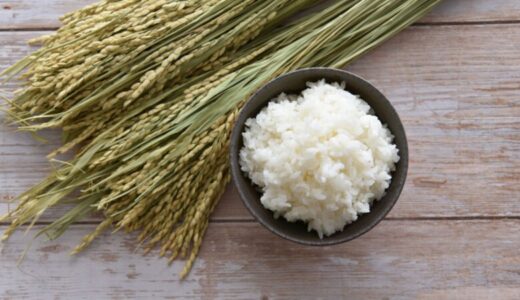 福井県で買えるブランド米は？特徴とおすすめのお米を紹介