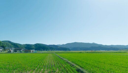 和歌山県で買えるブランド米は？特徴とおすすめのお米を紹介